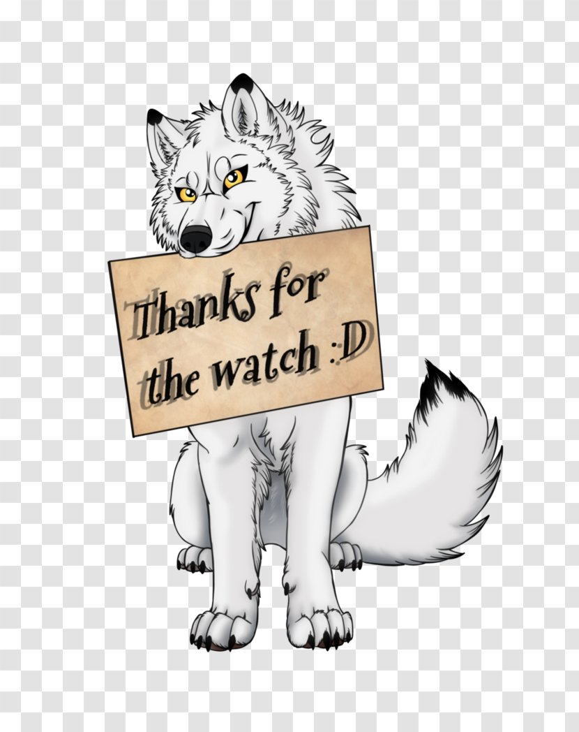 Whiskers Cat Dog Canidae - Carnivoran - Thank You For Watching Transparent PNG