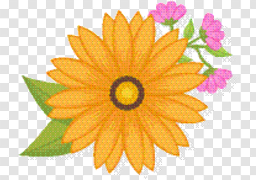 Sunflower Transparent PNG