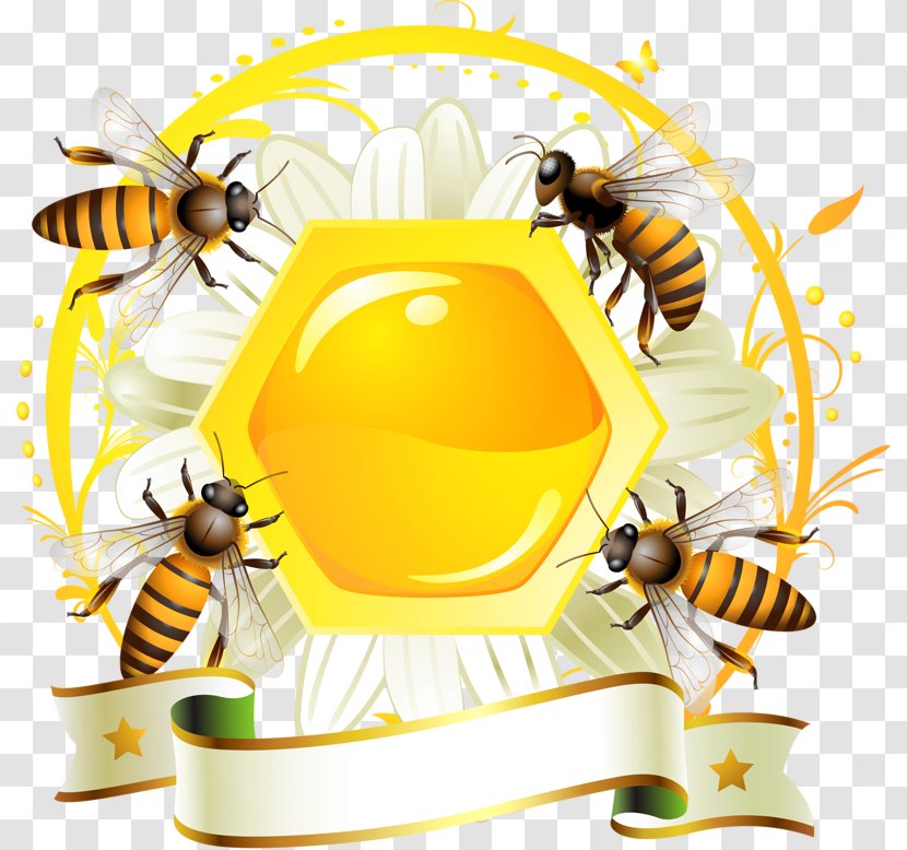Honey Bee Label Honeycomb - Decoration Transparent PNG