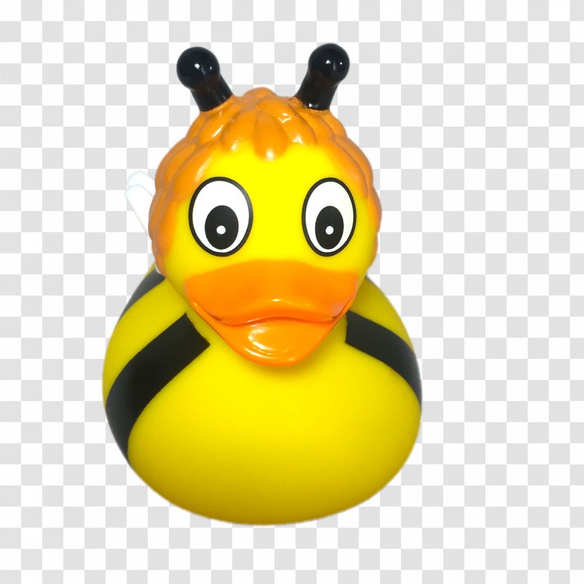 Duck Beak - Bird - Rubber Transparent PNG