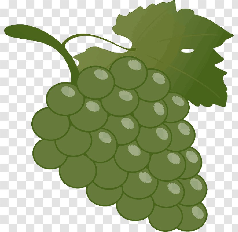 Common Grape Vine Clip Art Transparency - Food - Green Transparent PNG