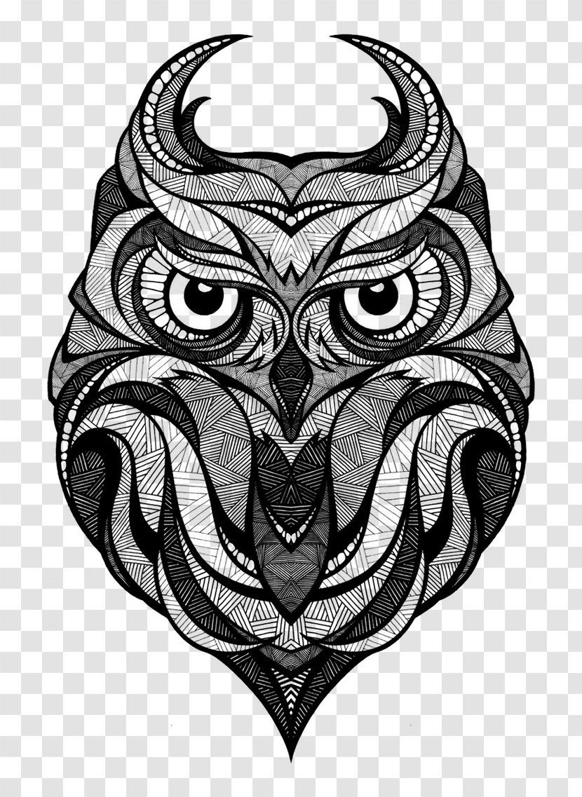 Owl Drawing Bird Art - Visual Arts - Inspired By The Green Skateboards Transparent PNG