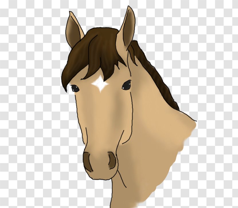 Mustang Stallion Pony Bridle Pack Animal - Flower Transparent PNG