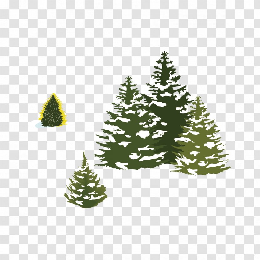 Pine Spruce Christmas Tree Snow Transparent PNG