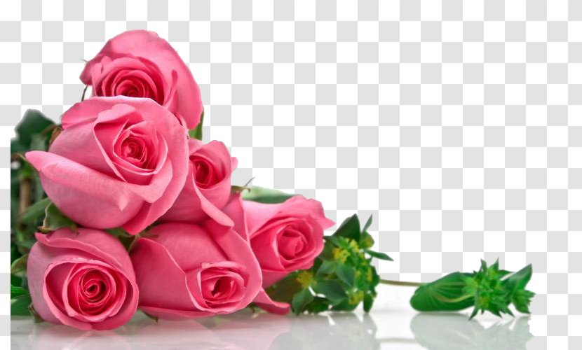 Teachers Day Education Writing Painting - Teacher - Pink Roses Flowers Bouquet Transparent Image Transparent PNG