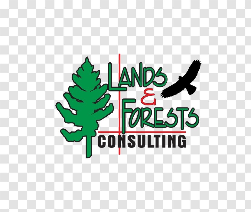 Tree Logo Forestry Forest Management - Brand Transparent PNG