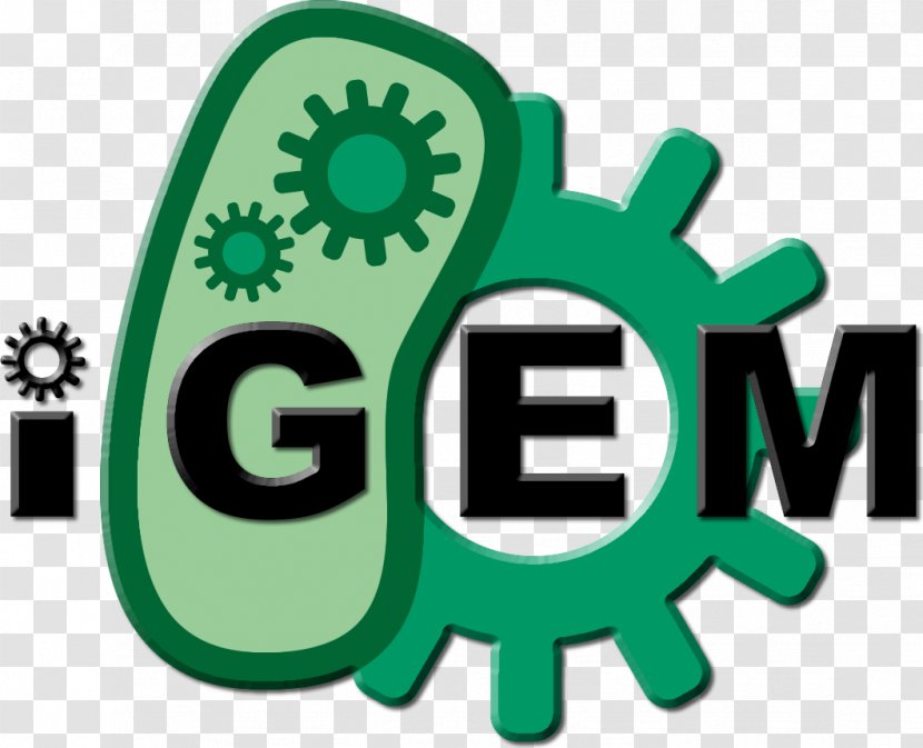 International Genetically Engineered Machine Genetic Engineering Synthetic Biology Science Transparent PNG