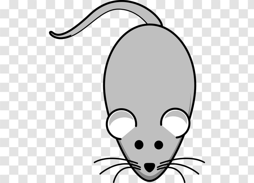 Rat House Mouse Clip Art - Line Transparent PNG