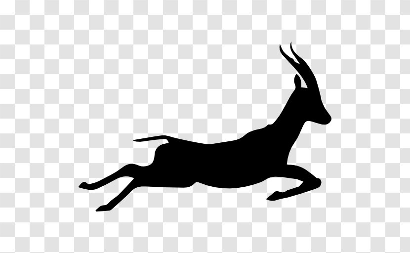 Gazelle Silhouette Running Icon - Illustration - Image Transparent PNG