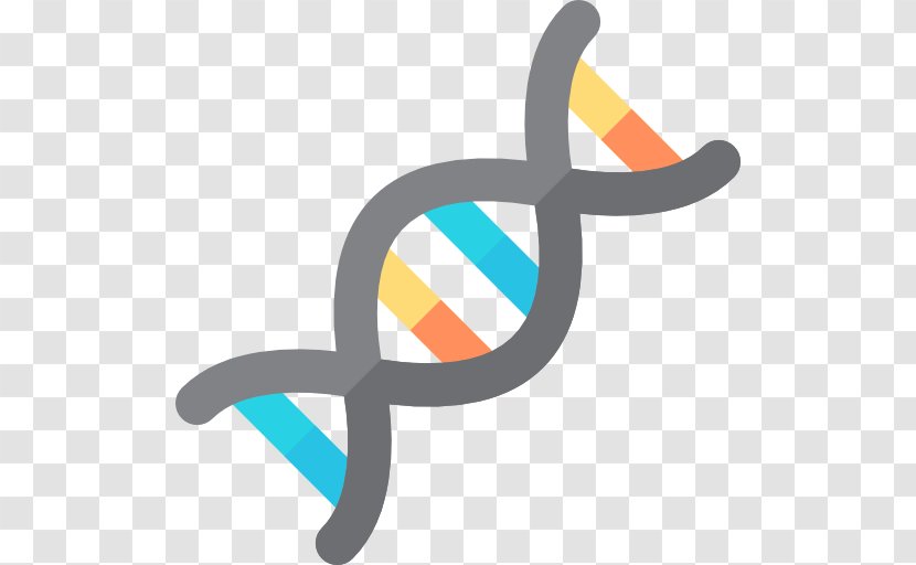 DNA Nucleic Acid Double Helix Genome Genetics Clip Art - Logo - Dna Structure Transparent PNG
