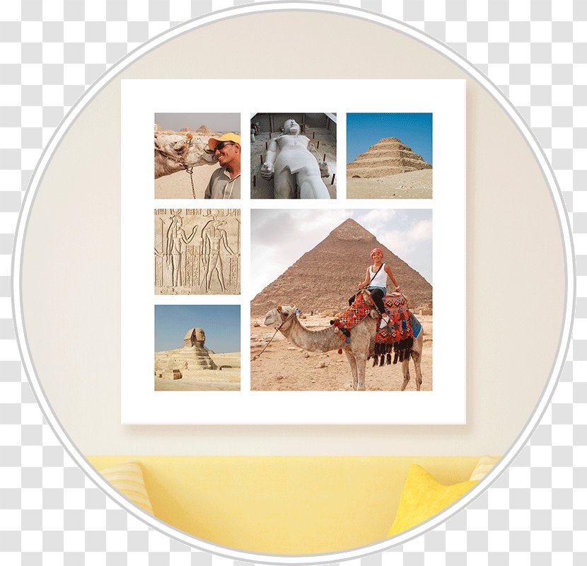 Picture Frames - Frame - Collage Photomontage Transparent PNG