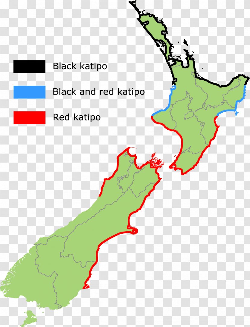 Katipo EcoZip Adventures Dunedin North Island Animal Bite - Wikipedia - Antivenom Transparent PNG
