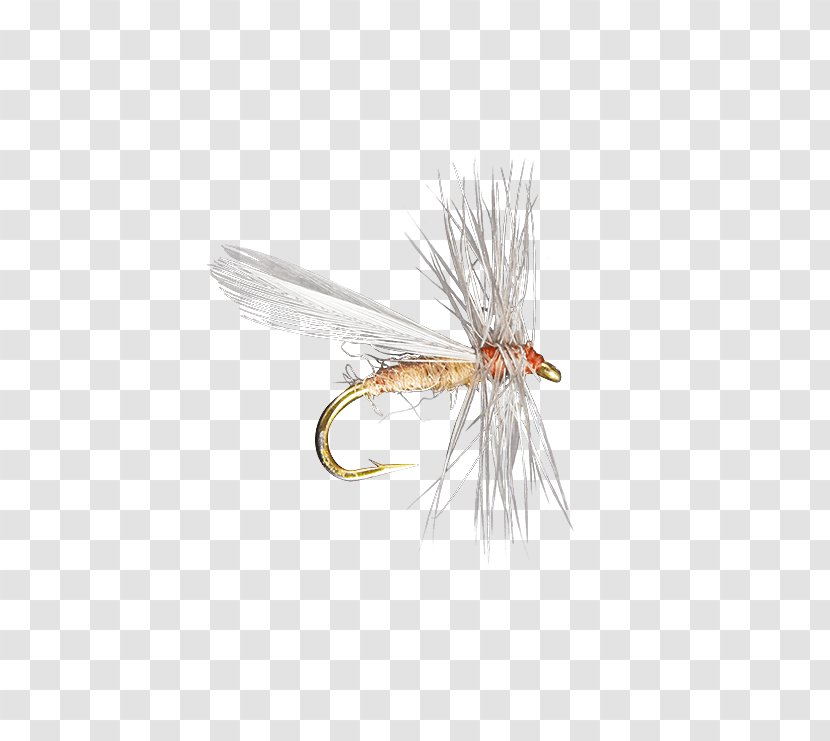 Crane Fly Insect Artificial Fishing - Holly Flies Transparent PNG