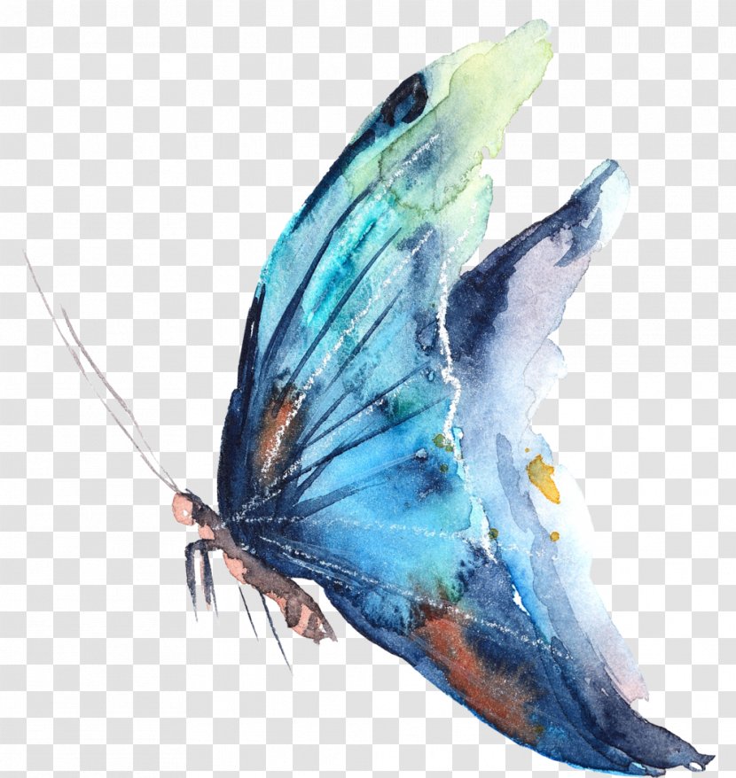 Butterfly Watercolor Painting Photography Transparent PNG