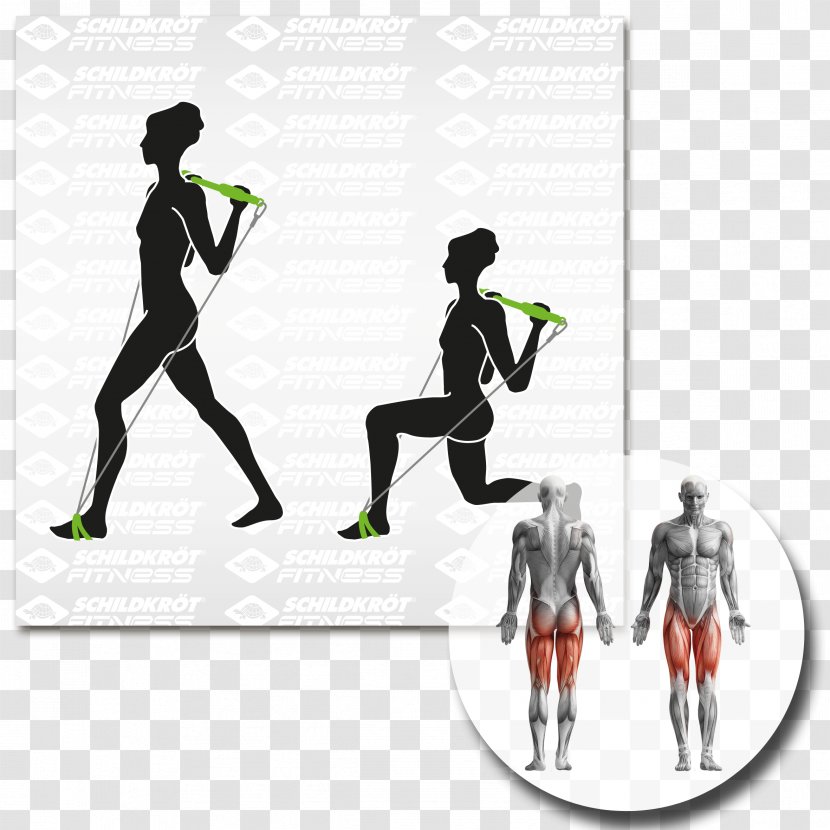 Human Body Anatomy Biofeedback Myofascial Trigger Point - Flower - Tree Transparent PNG