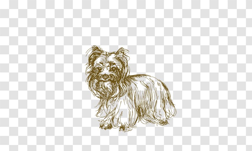 Jack Russell Terrier African Wild Dog Puppy Drawing - Small Transparent PNG