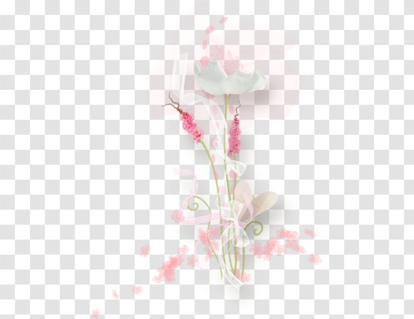 May 0 Flower Petal 1 - 2016 Transparent PNG