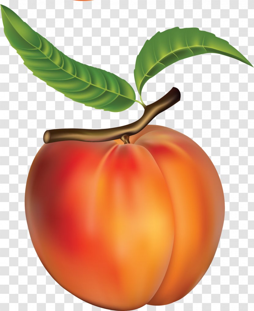 Crisp Fruit Peach Food Transparent PNG