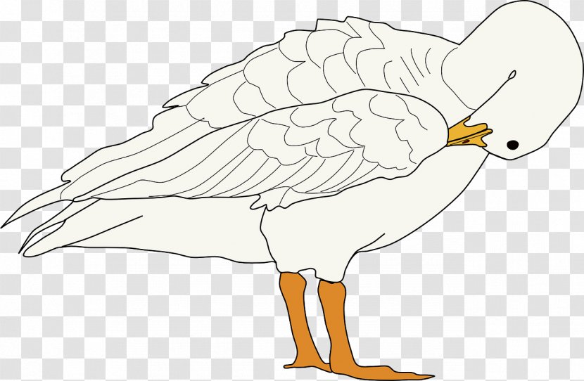 Goose Bird Clip Art - Wildlife - White Ducks Transparent PNG