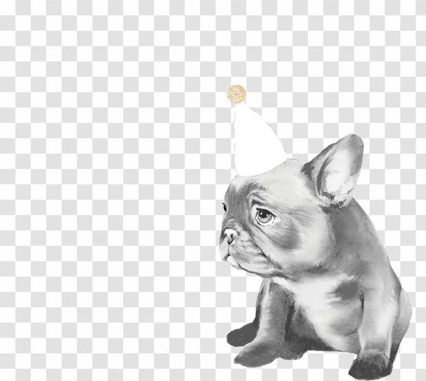 French Bulldog Puppy Cat Chow - Paw - Pug Transparent PNG