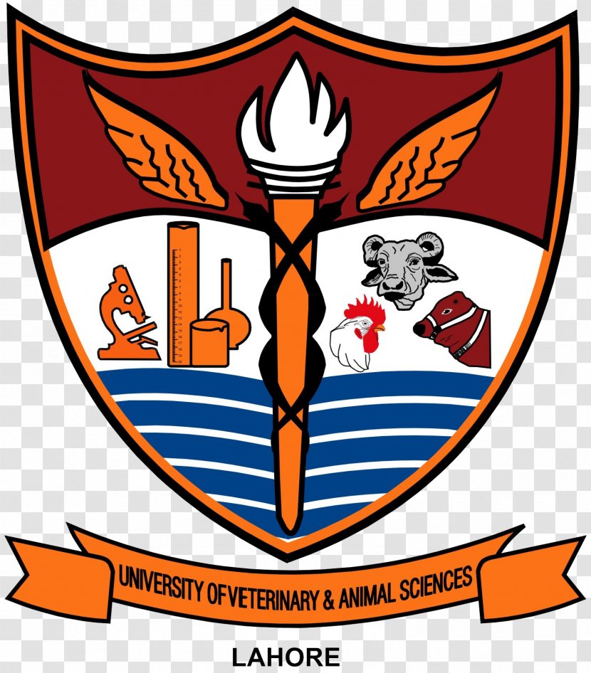 College Of Veterinary And Animal Sciences, Jhang University & Sciences Ravi Campus Education Student - Lahore - Merit Transparent PNG
