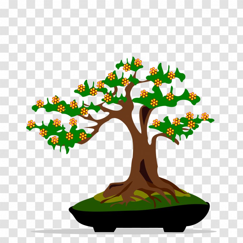 Bonsai Tree Ficus Retusa Clip Art - Big Transparent PNG