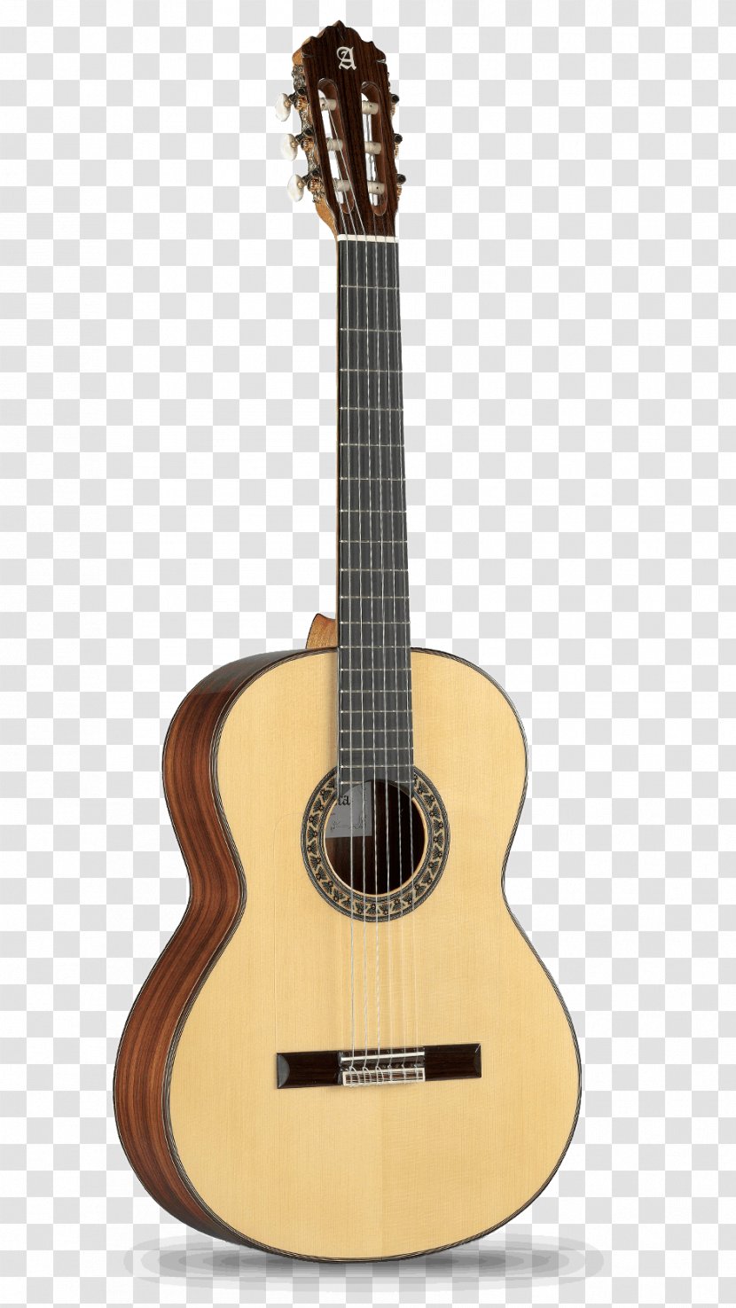 Alhambra International Guitar Competition Classical Flamenco Transparent PNG