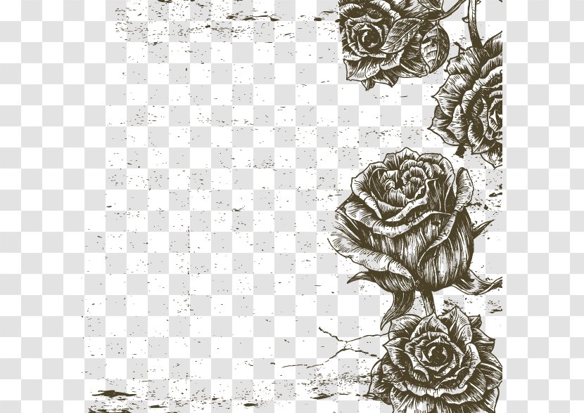 Black And White Beach Rose Visual Arts - Roses Border Vector Image Transparent PNG