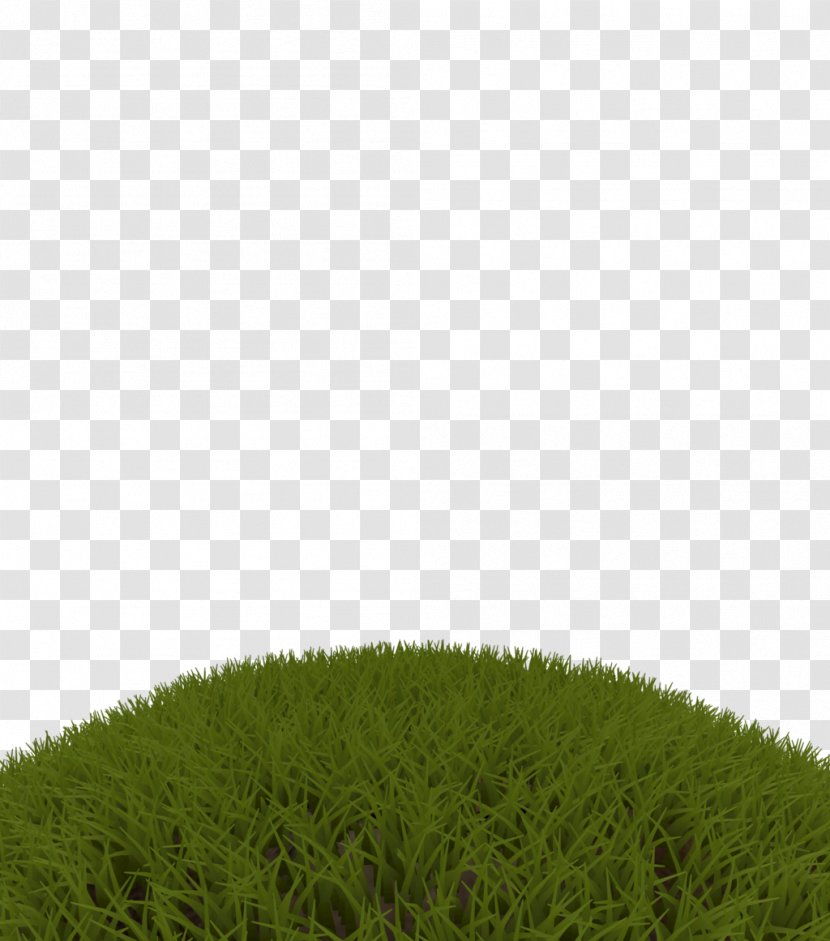 Lawn Grasses Grassland Sky Plc Family - Plant - And Grass Transparent PNG