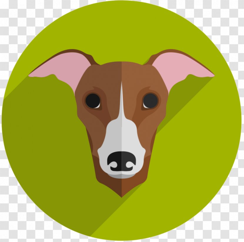 Italian Greyhound Whippet Puppy Dog Breed - Sports Transparent PNG