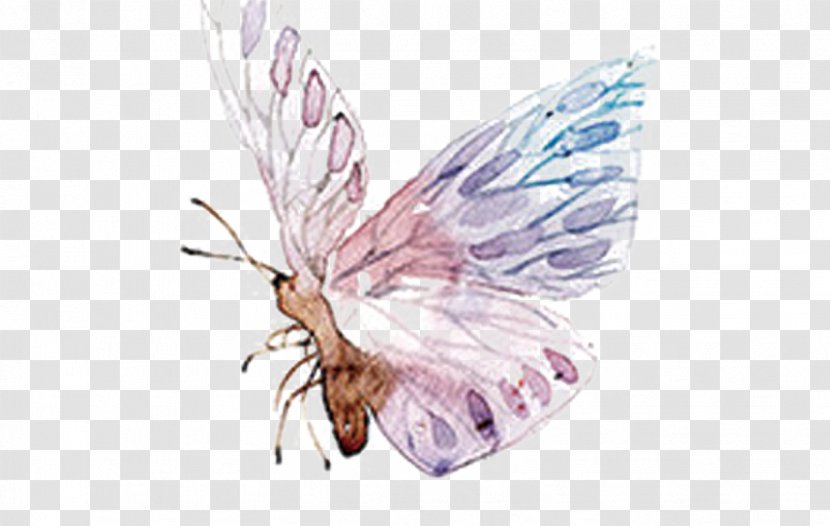 Butterfly Watercolor Painting Cartoon - Creative Work - Wind Ink Transparent PNG