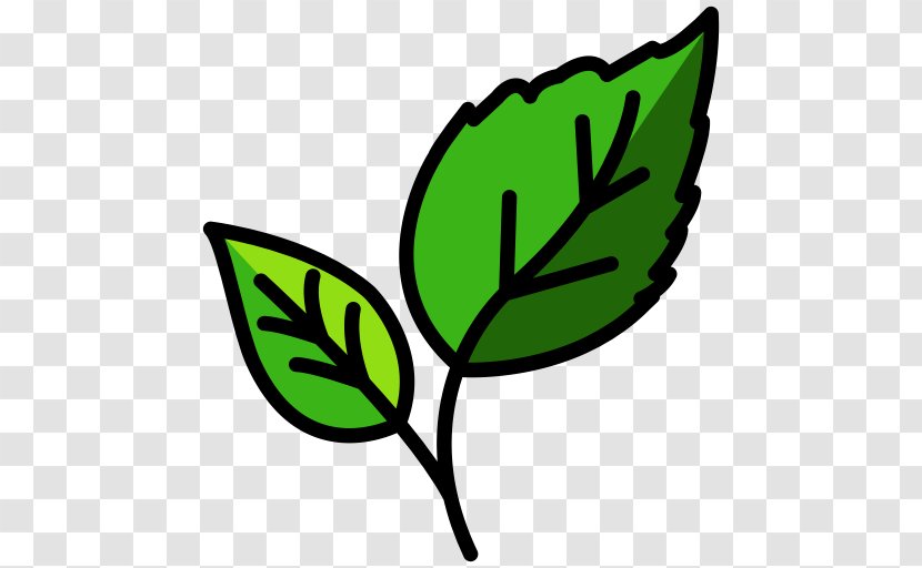 Leaf Clip Art Ecology - Green Transparent PNG