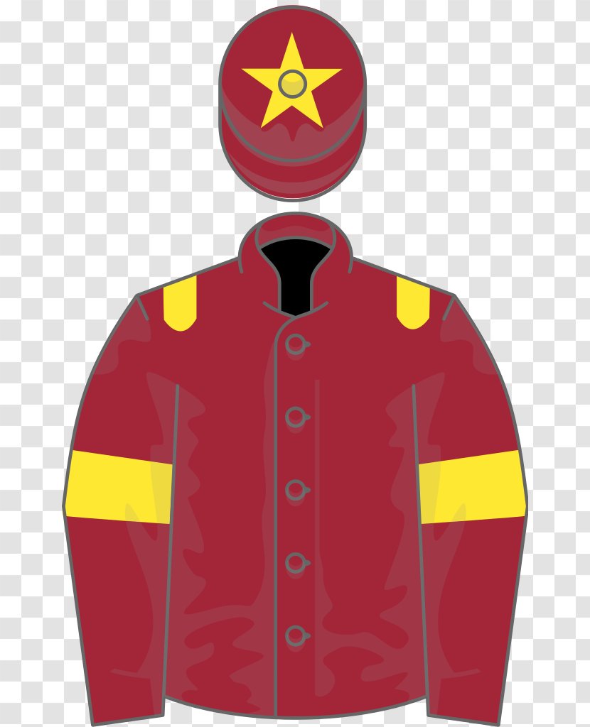 Thoroughbred Horse Racing 2018 Grand National 2016 - Uniform - Ownership Transparent PNG