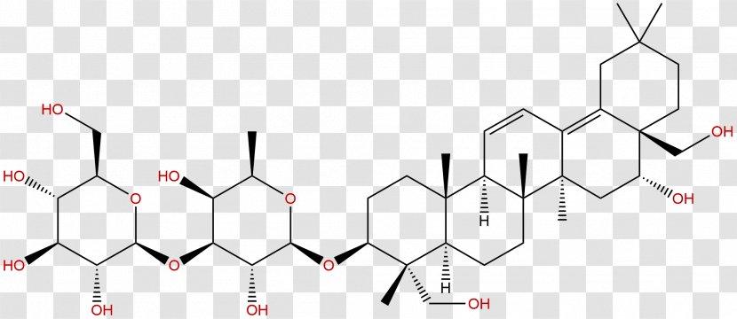 柴胡 Bupleurum Chinense Scorzonerifolium Chinese Herbology Phytochemical - Flower - Silhouette Transparent PNG