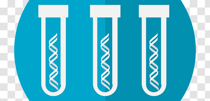 Genetic Testing Genetics Genealogical DNA Test Disorder Transparent PNG