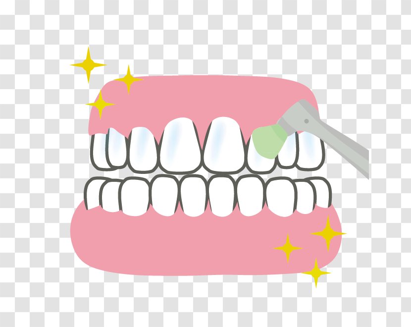 Tooth Dentures Dentist 歯科 Dental Plaque - Heart - Teeth Cleaning Twig Transparent PNG