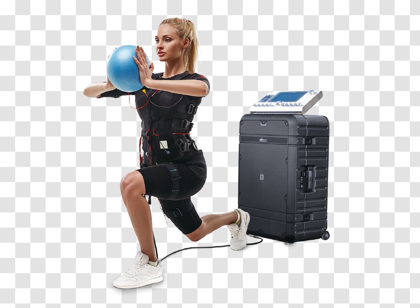 Toning Exercises Weight Loss Lunge Physical Fitness - Bodybuilding Transparent PNG