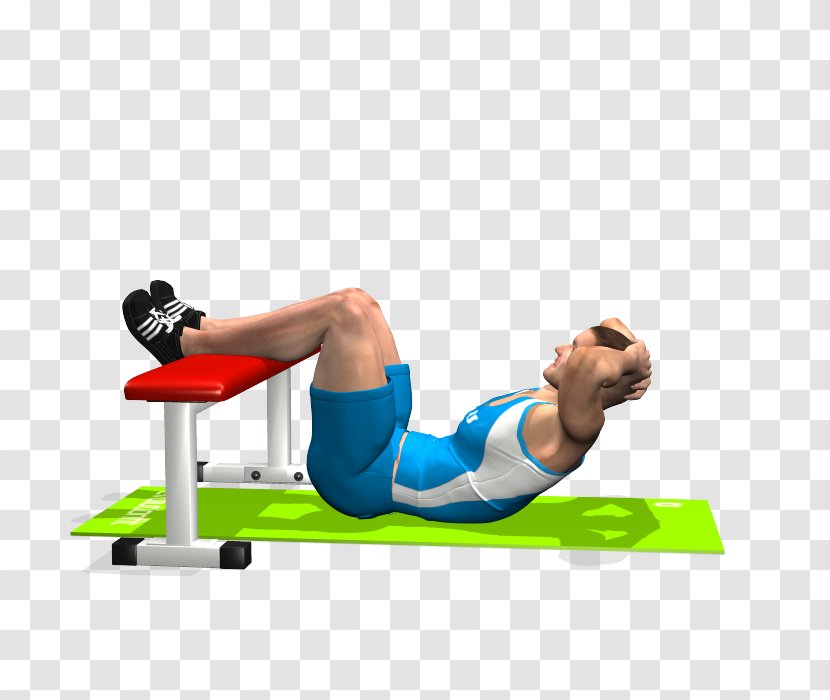 Crunch Bench Exercise Bauchmuskulatur Weight Training - Tree - Push Up Transparent PNG