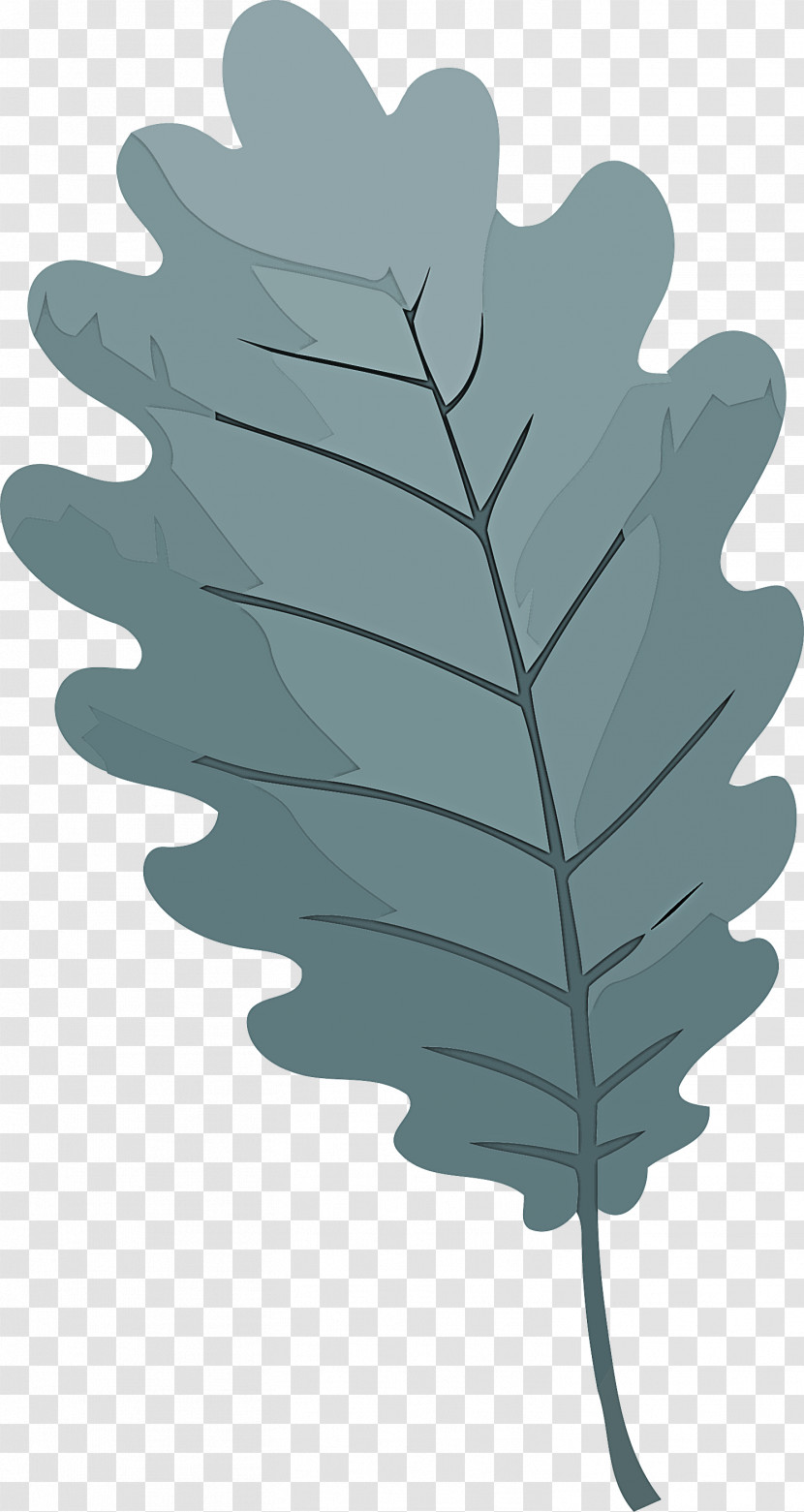 Leaf Transparent PNG