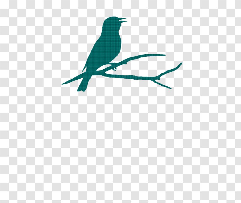 Beak Teal Turquoise Feather Clip Art - Bird - Sillohuette Transparent PNG