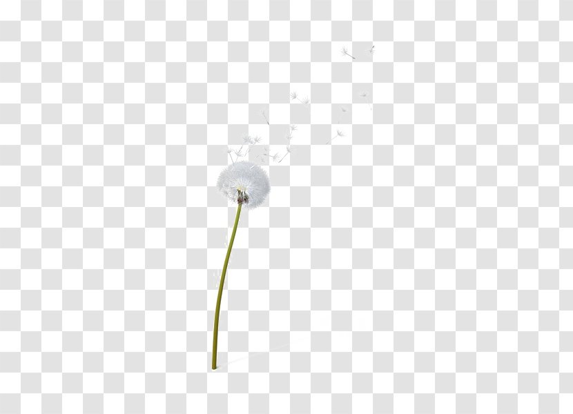 Lighting Product Design Flower - Sky - Dandelion Transparent Background Transparent PNG