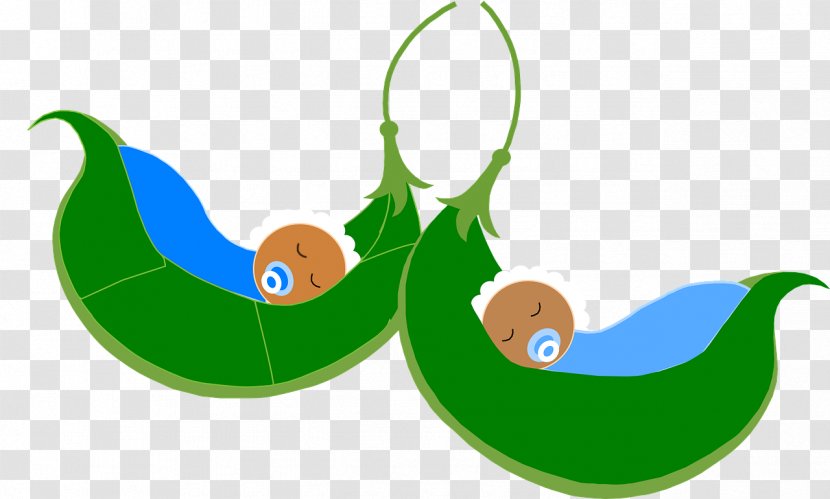 Pea Bean Pod Clip Art - Infant Transparent PNG