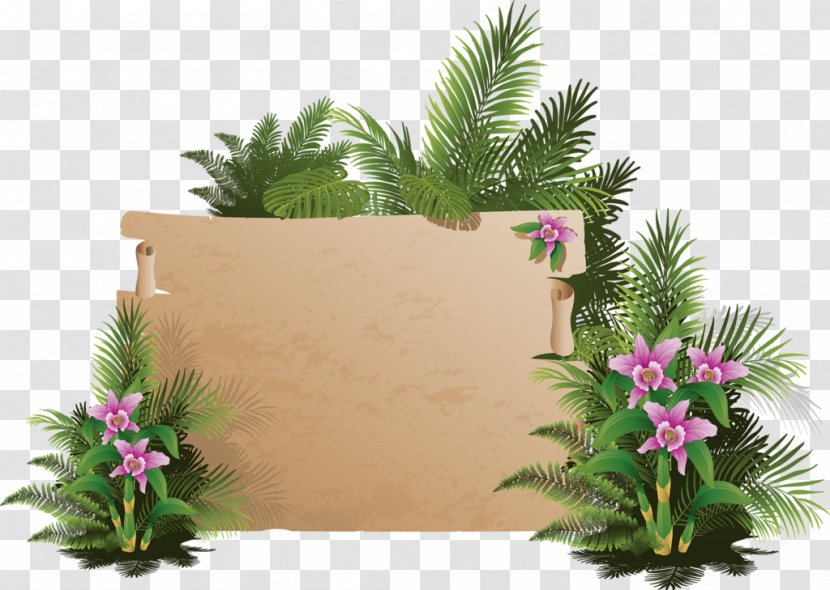 Clip Art - Palm Tree - Exotic Transparent PNG