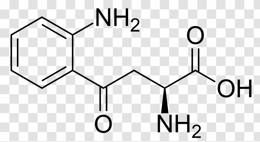 Kynurenine Amino Acid Tryptophan Phenylalanine - Brand - Triangle Transparent PNG