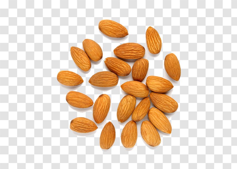 Almond Nut Fruit - Cashew Transparent PNG