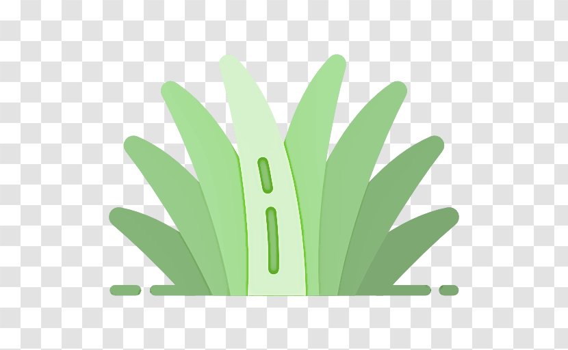 Green Leaf Plant Grass Flower - Perennial Logo Transparent PNG
