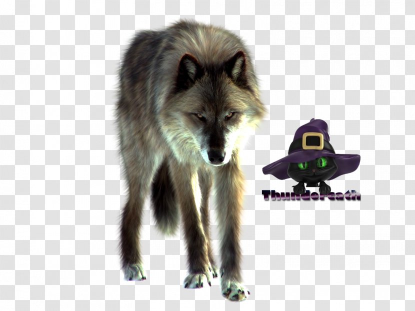 Red Fox Dog White Fang Arctic - Fauna Transparent PNG