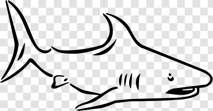 Tiger Shark Clip Art Coloring Book Drawing - Facial Expression Transparent PNG