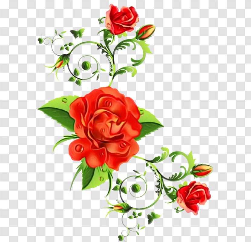 Garden Roses - Flower - Bouquet Transparent PNG