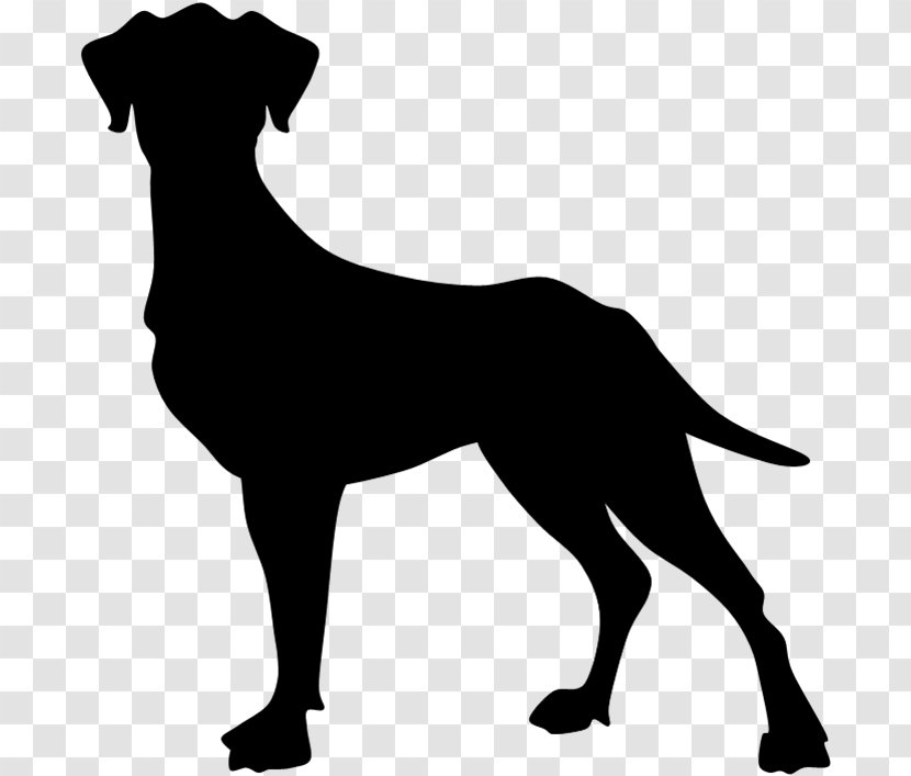 Dog Breed Puppy Sporting Group Black - Mammal Transparent PNG